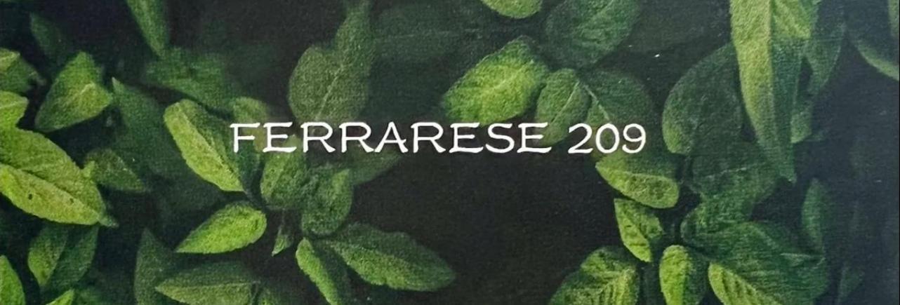 Ferrarese209 Apartman Bologna Kültér fotó